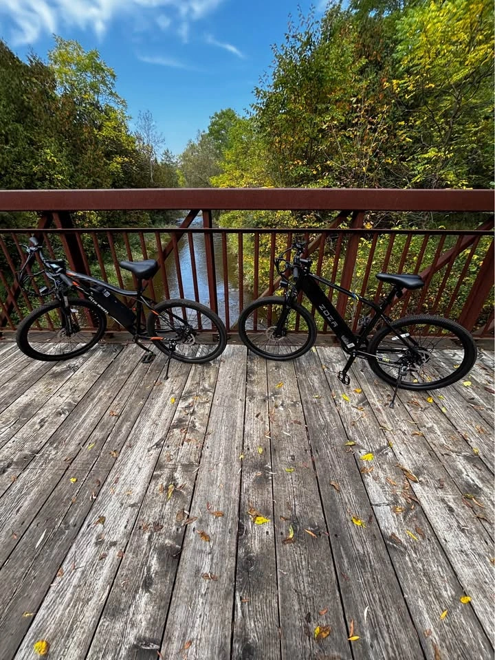 Fifth wheel e bike - photo 2