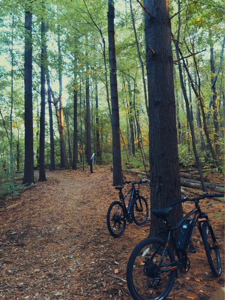 Fifth wheel e bike - photo 4