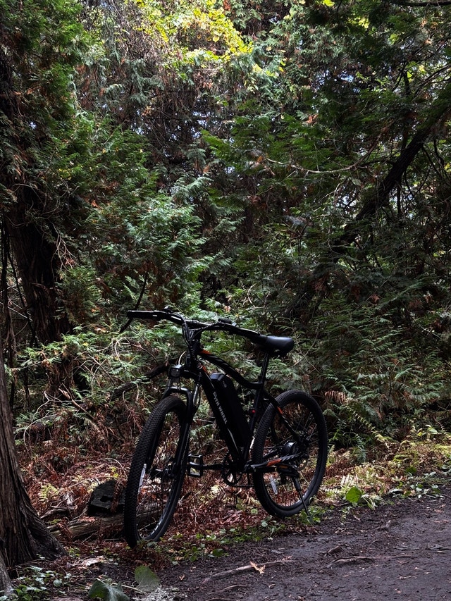 Fifth wheel e bike