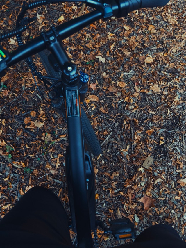Fifth wheel e bike - photo 2