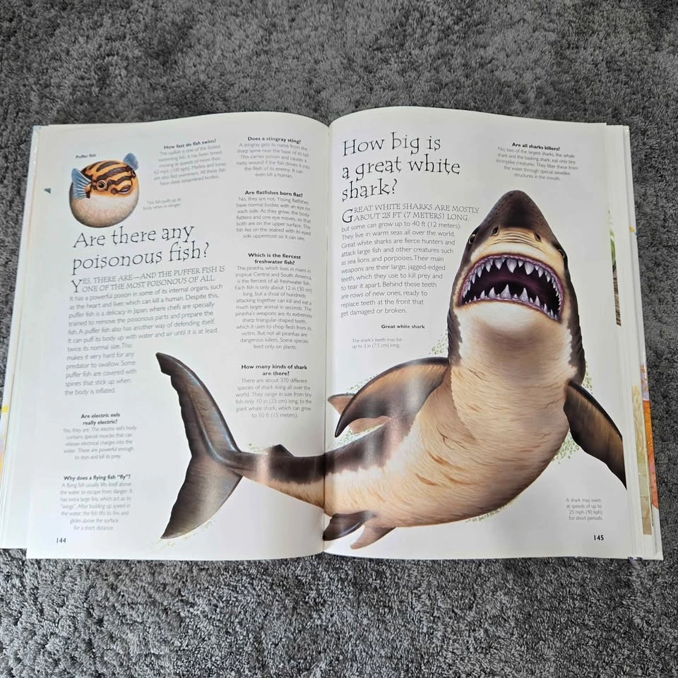 Giant Book of Questions and Answers Hardcover Book - photo 4