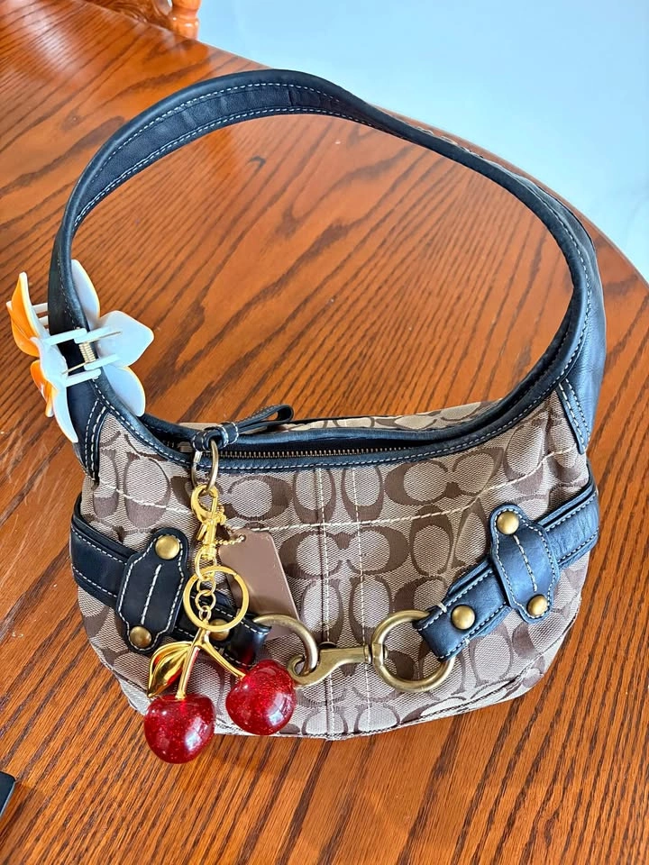Coach Signature Canvas Demi Pouch Bag authentic