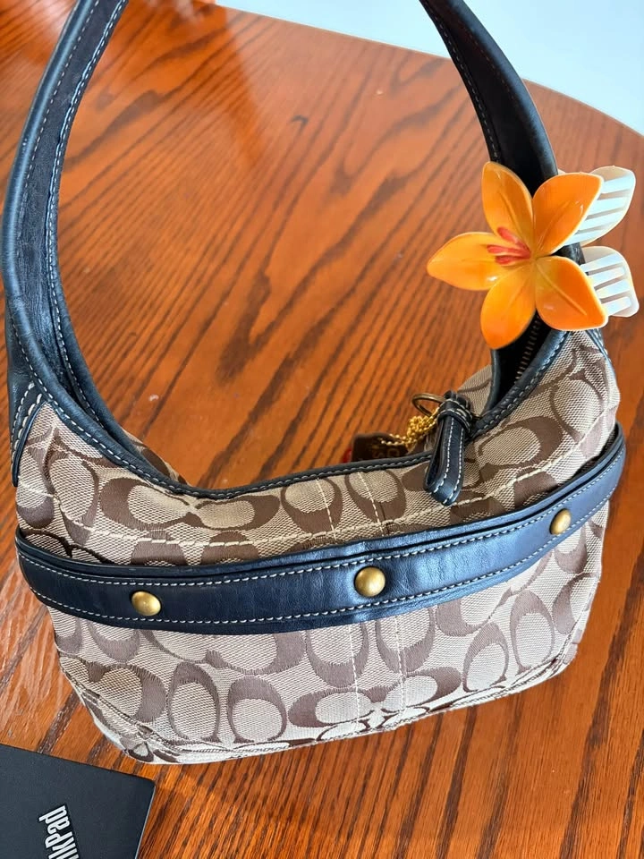Coach Signature Canvas Demi Pouch Bag authentic - photo 2