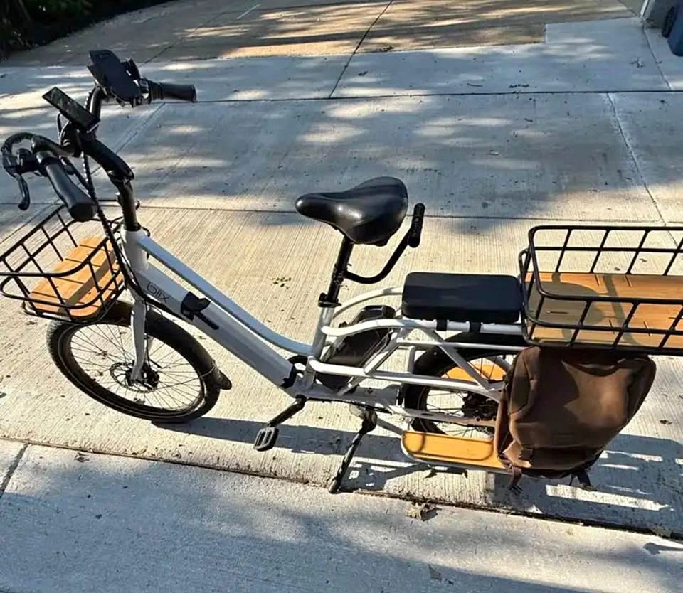 Blix Packa Electric Bicycle $1100