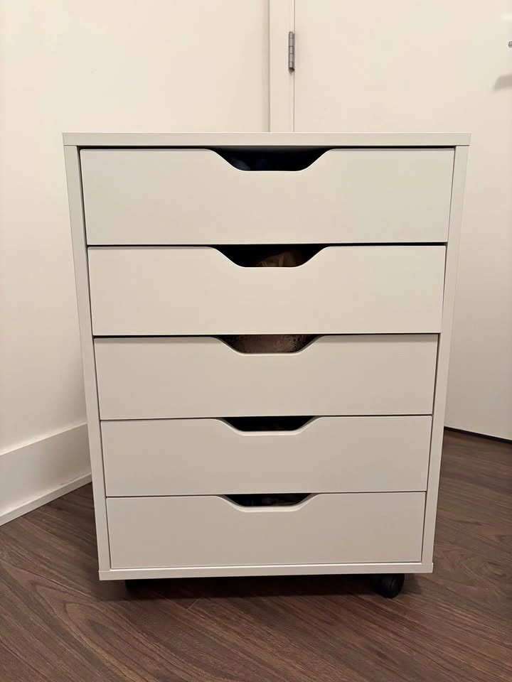 White Drawer Storage Cabinet