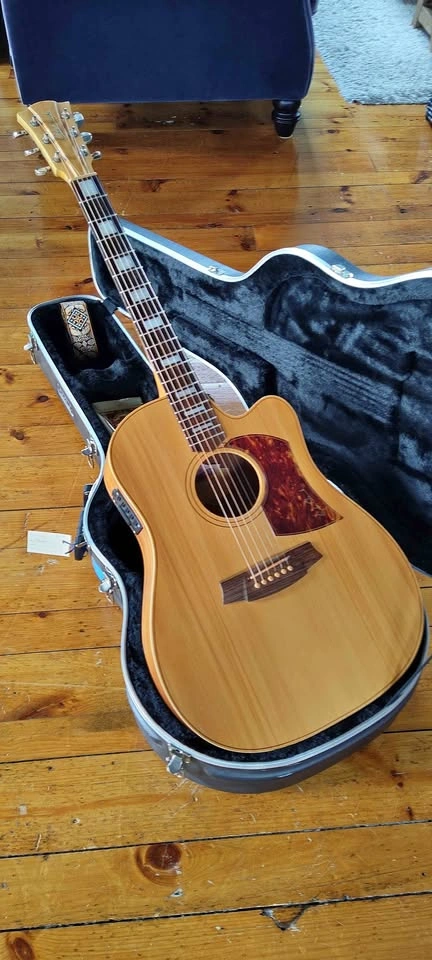 Guitar Cole Clark FL2