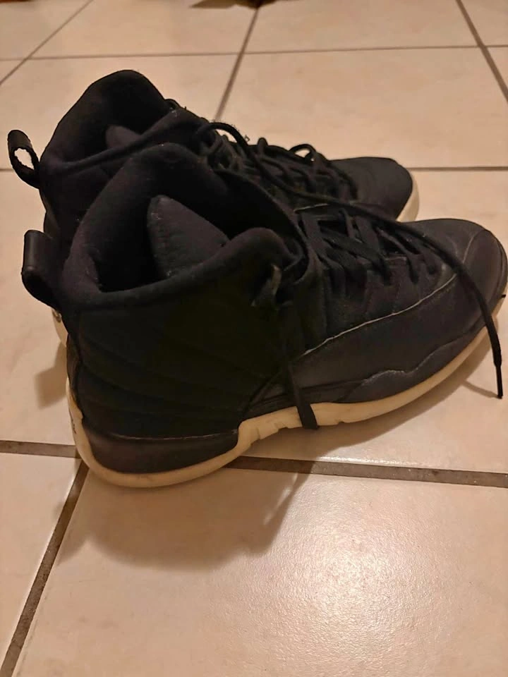 Air Jordan 12 Nylon Size 9.5