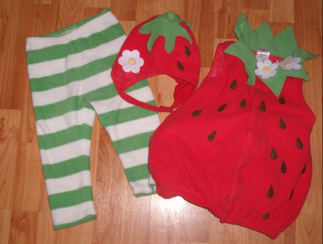 Kids Halloween Costumes/Dress-Up (Sizes 12-24 Months) - photo 3
