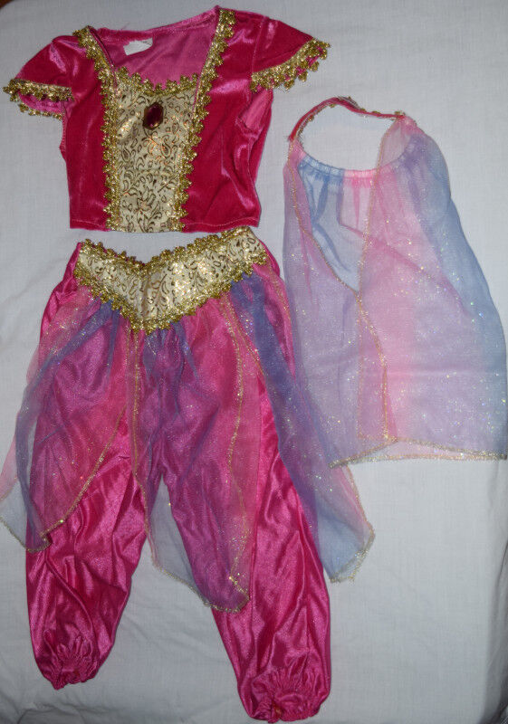 Kids Halloween Costumes/Dress-Up (Sizes 3-5T) - photo 3