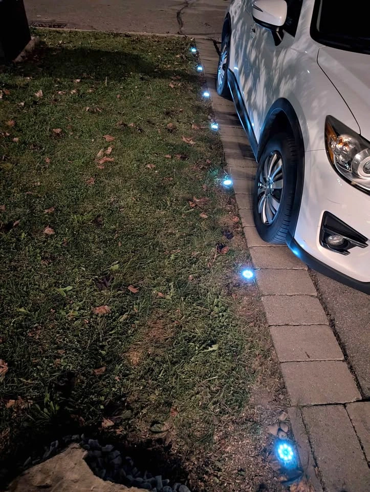 Solar lights (white)