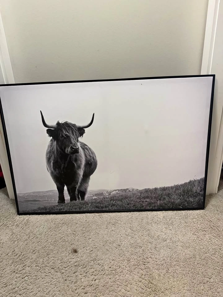 Bull print/picture