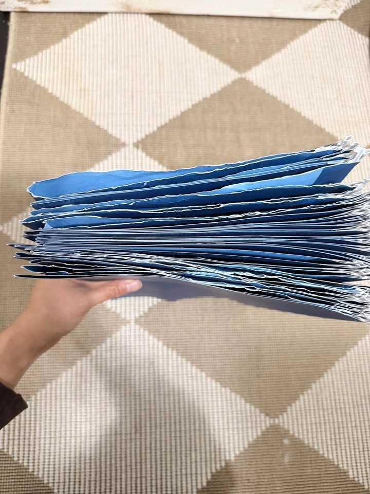 Legal file folders hanging x 24 - photo 2