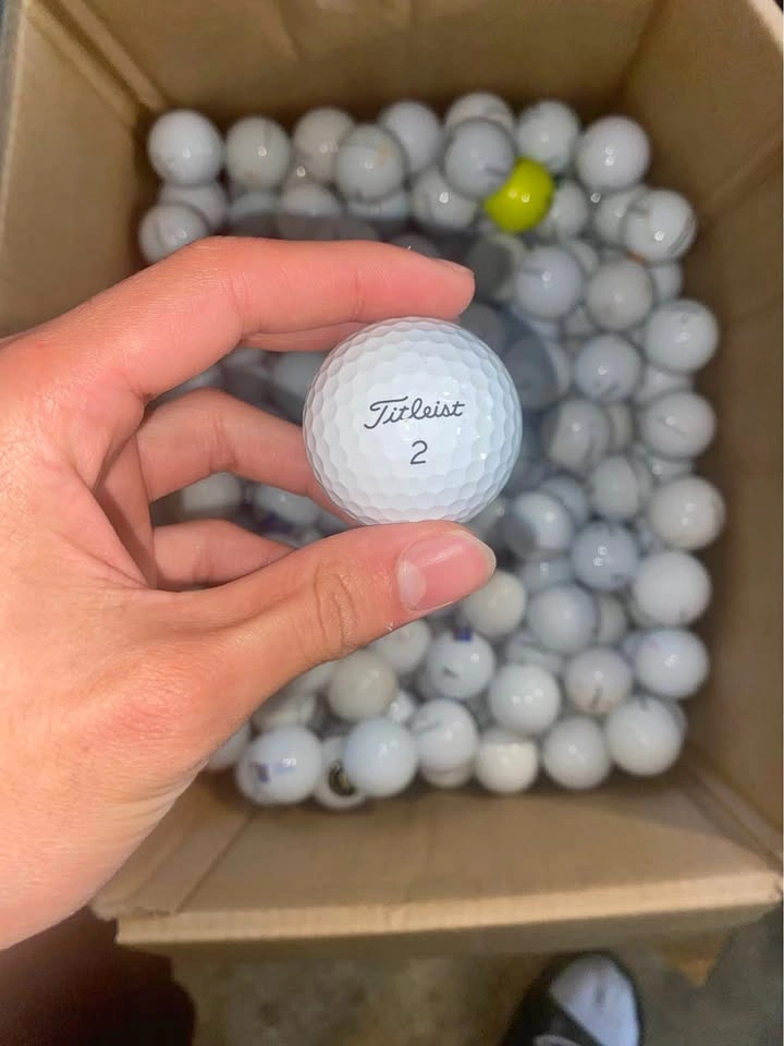 Pro V1 Pro V1x Golf Balls - AVX - Titleist - Markham