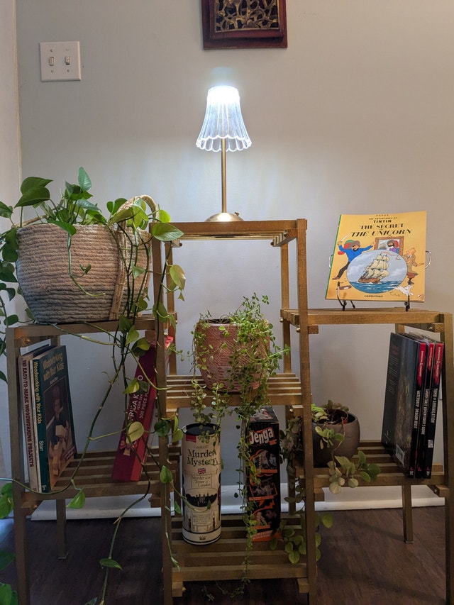 Plant Stand - photo 4