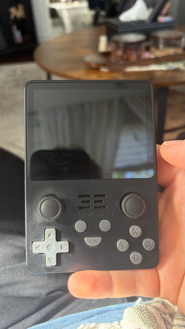 RGB20 Emulator - photo 3