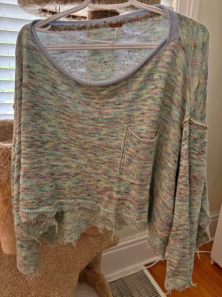 Free People Crop Top