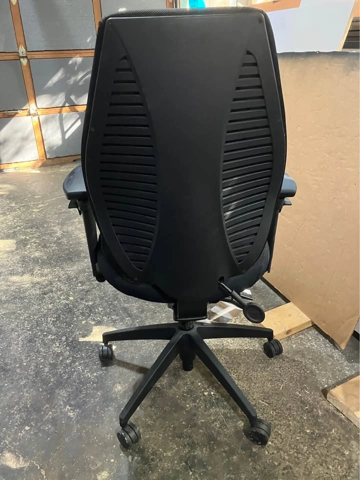 Office chair Ergocentric