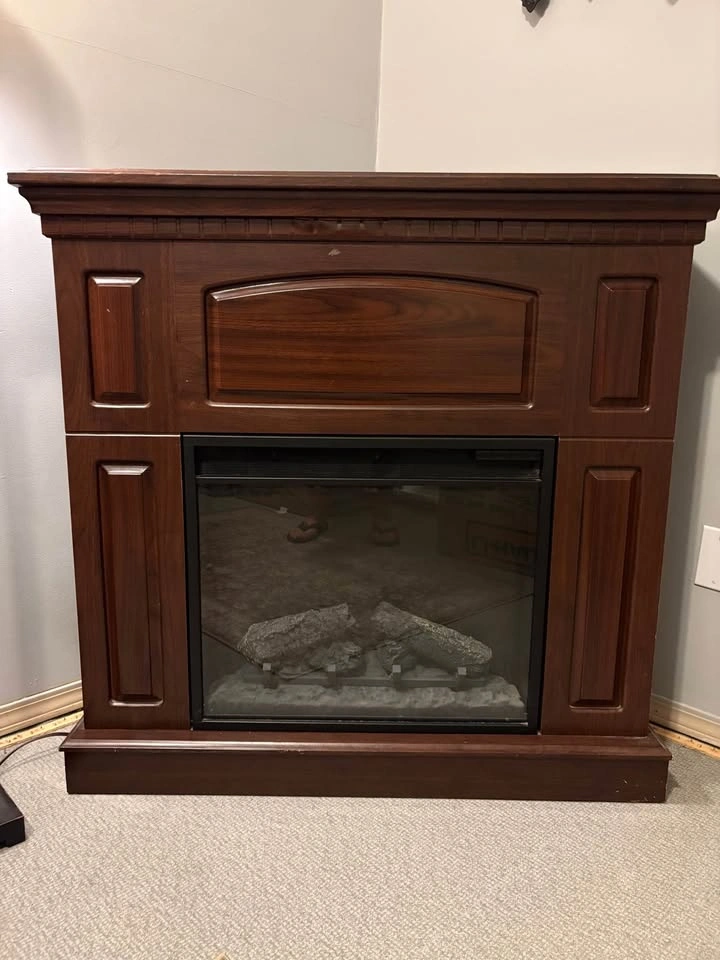 Electric fireplace and heater