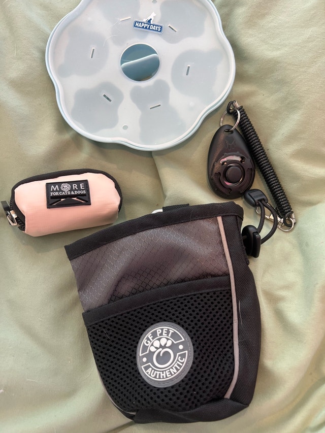 GF Pet Dog Accessories Bundle