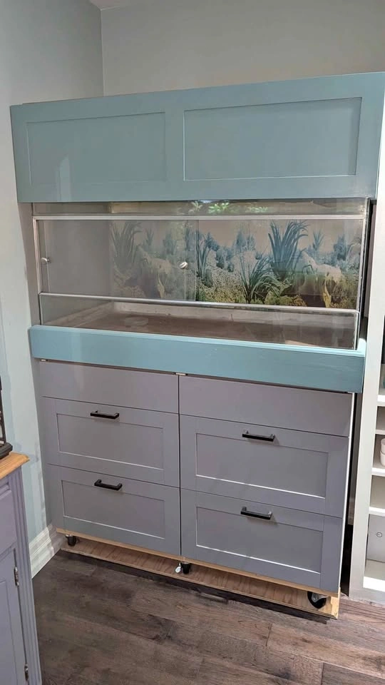Large lizard tank