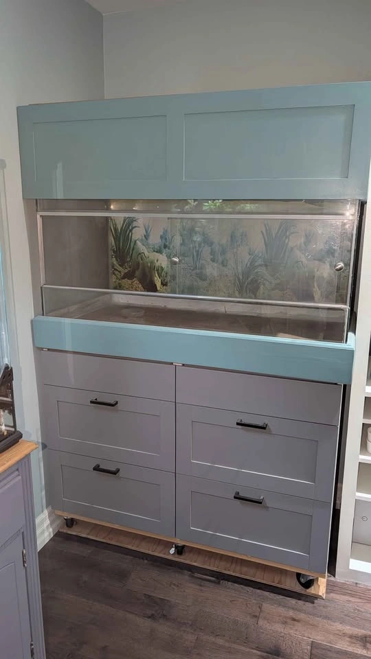 Large lizard tank - photo 2
