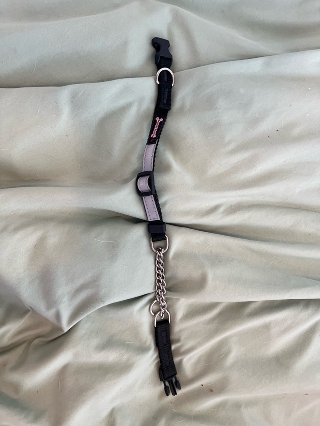 Smooch Poochy Martingale Quick Release Clip Collar