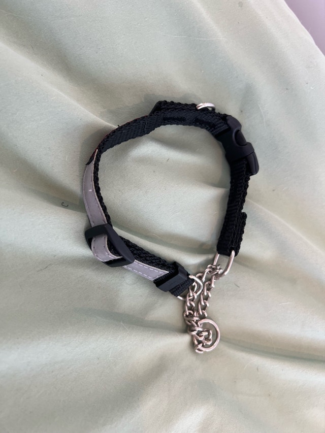 Smooch Poochy Martingale Quick Release Clip Collar - photo 2