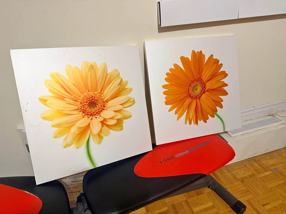 Set of 2 Floral Wooden Wall Art / Decor Panels