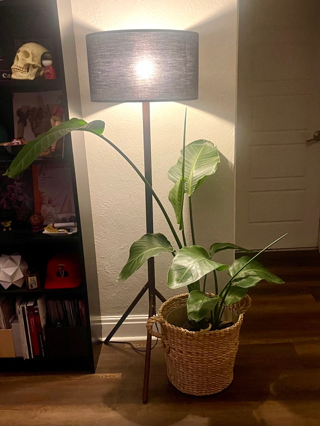 Article Tripod Floor Lamp – Dark Wood / Black Shade