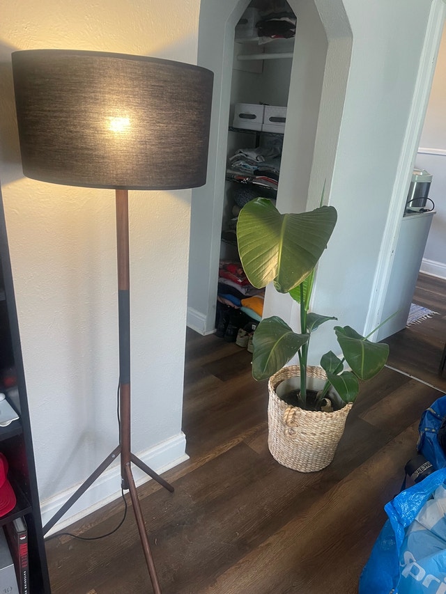 Article Tripod Floor Lamp – Dark Wood / Black Shade - photo 2