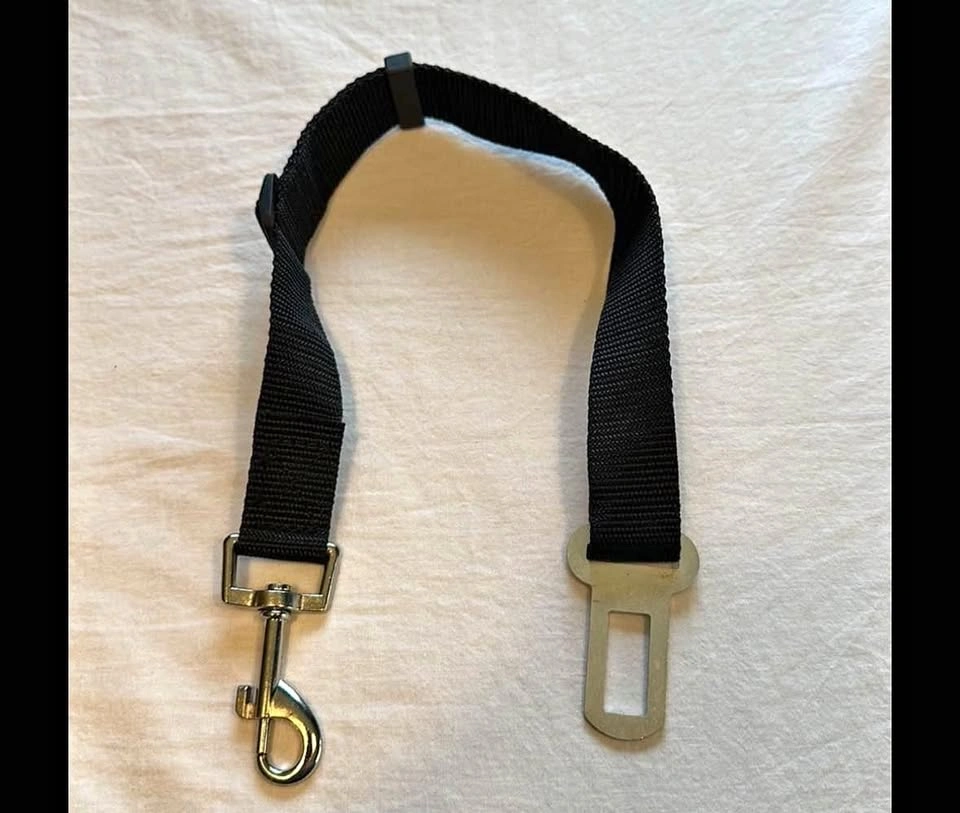 Dog Seat Belt