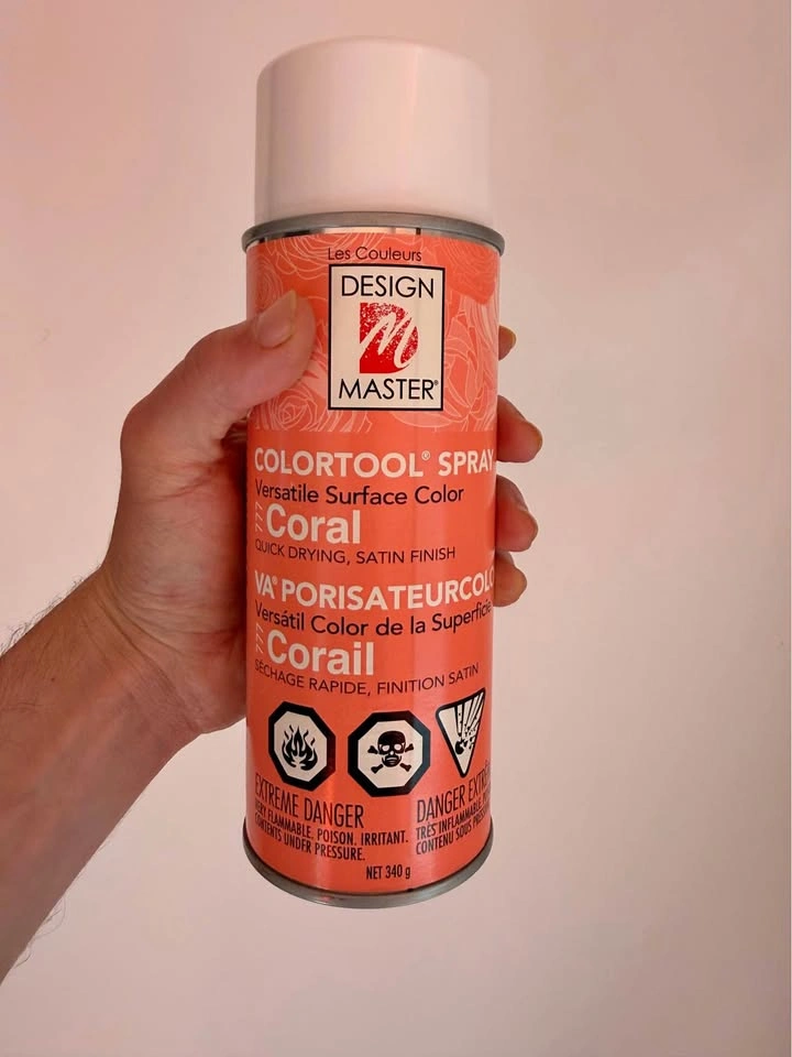 Design Master Colortool Spray Paint Coral 777