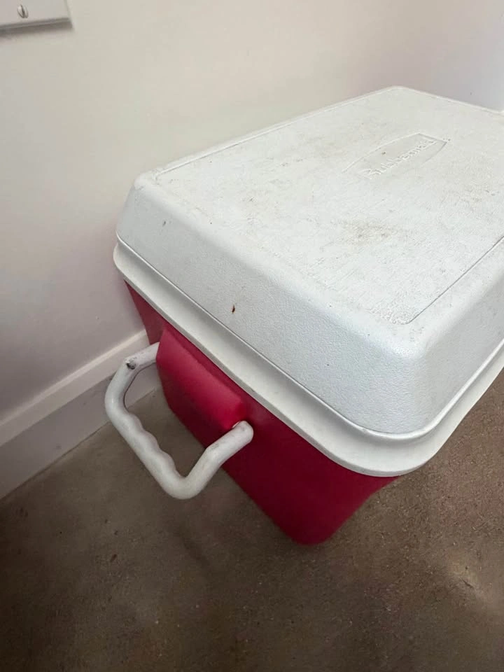Rubbermaid Red Cooler - photo 3