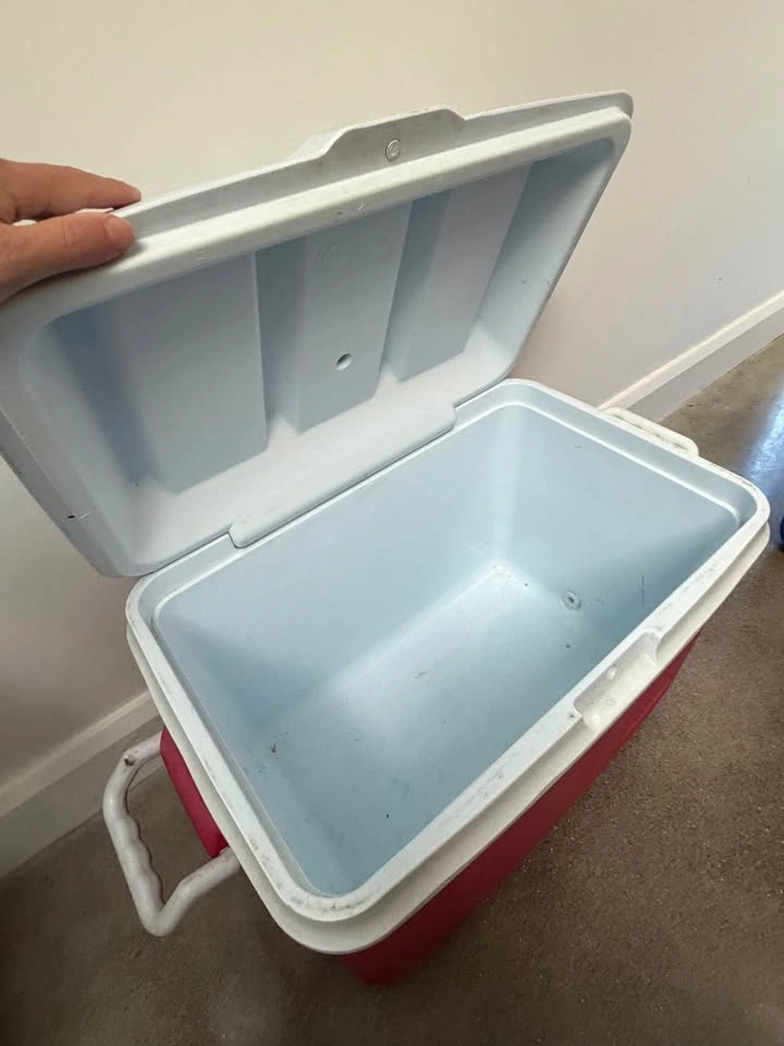 Rubbermaid Red Cooler - photo 4