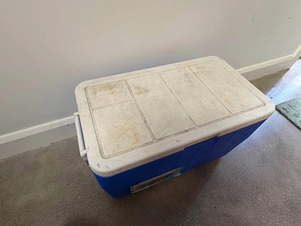 Coleman 48 Quart Chest Cooler - photo 2