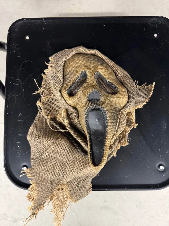 Scarecrow Ghost Face Halloween Costume - photo 5