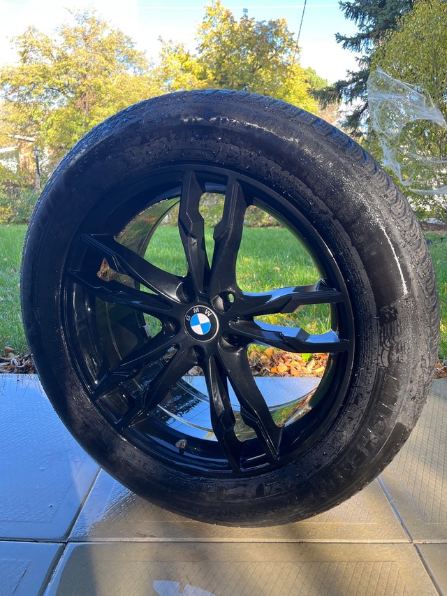 Set of 4 BMW 19" Winter Tires on Rims — Michelin Pilot Alpin 5 - photo 4