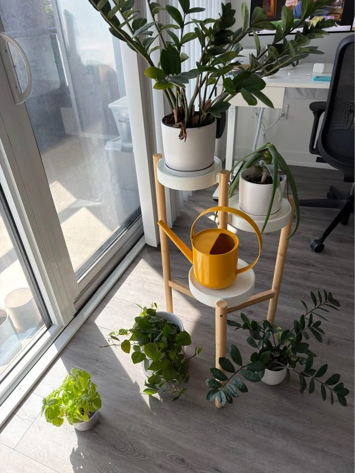 IKEA Satsumas Plant Stand and Assorted Plants - photo 2