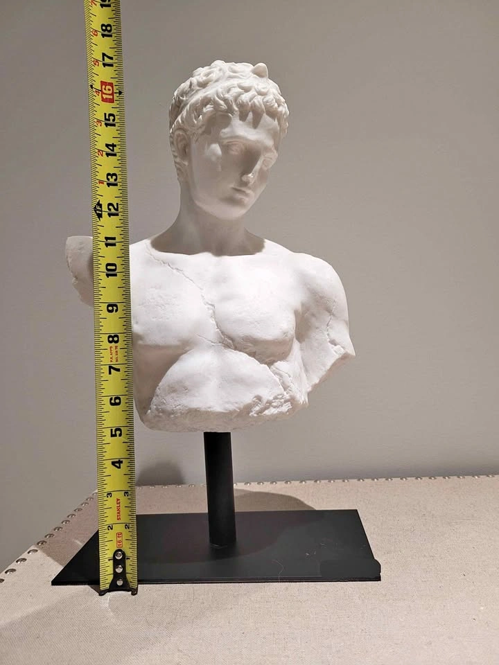 Classical Greek / Roman Male Torso Bust Statue – 18”