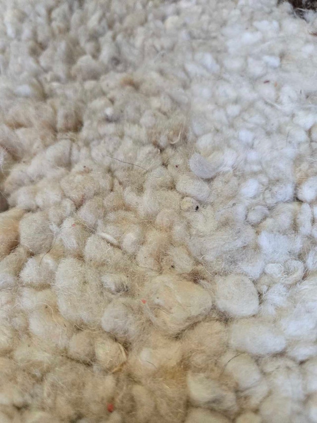 EQ3 Luxury 100% Wool Area Rug – 5’ x 8’ (1" Thick / Heavy Duty) - photo 3