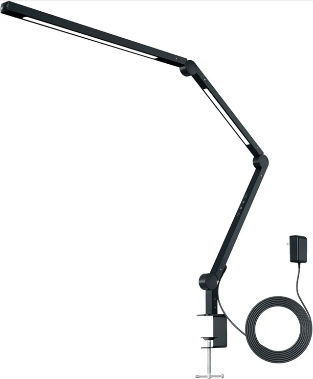 Dual LED Desk Lamp