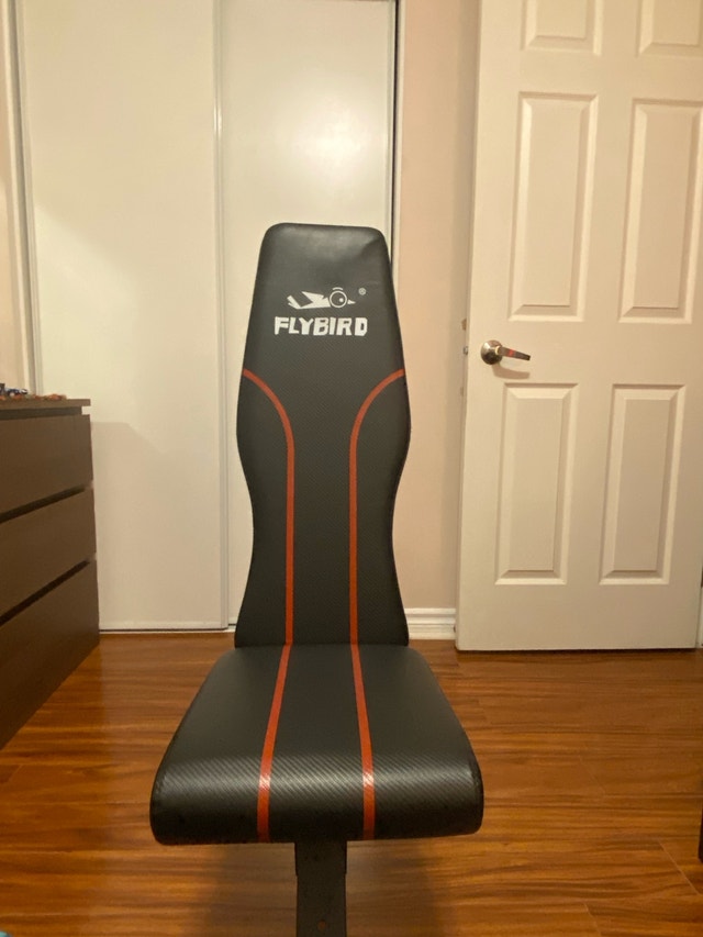 FLYBIRD Adjustable Weight Bench | Foldable Home Gym Bench - photo 4