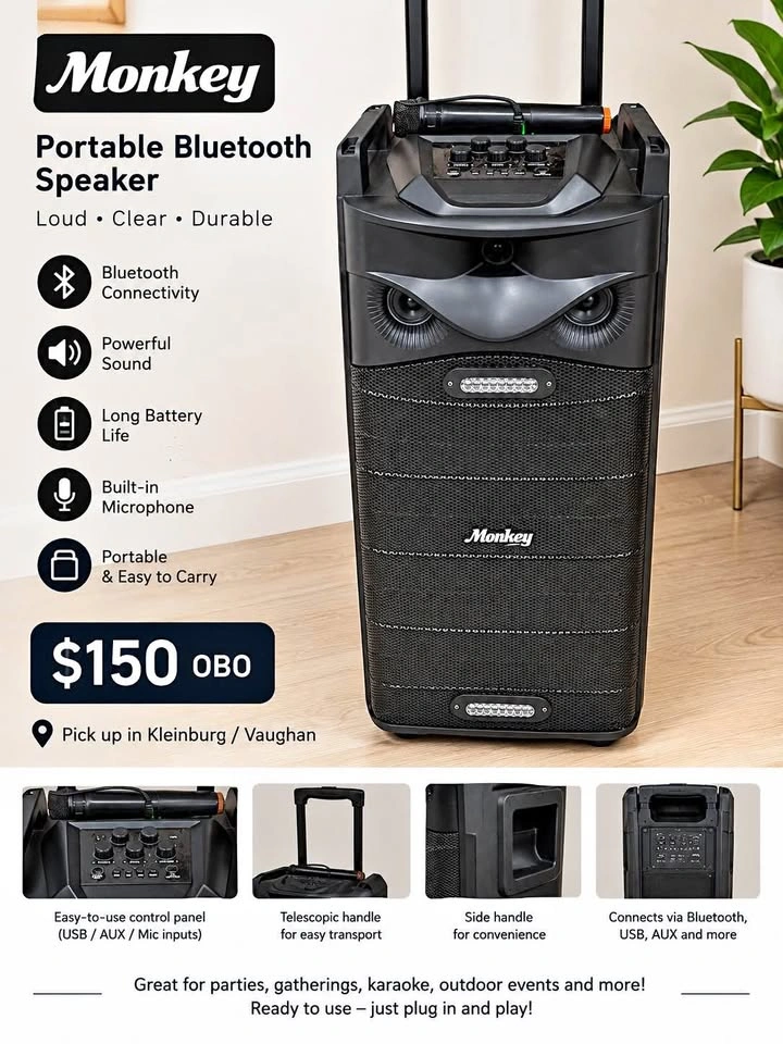 Portable Bluetooth Karaoke Speaker for Sale!