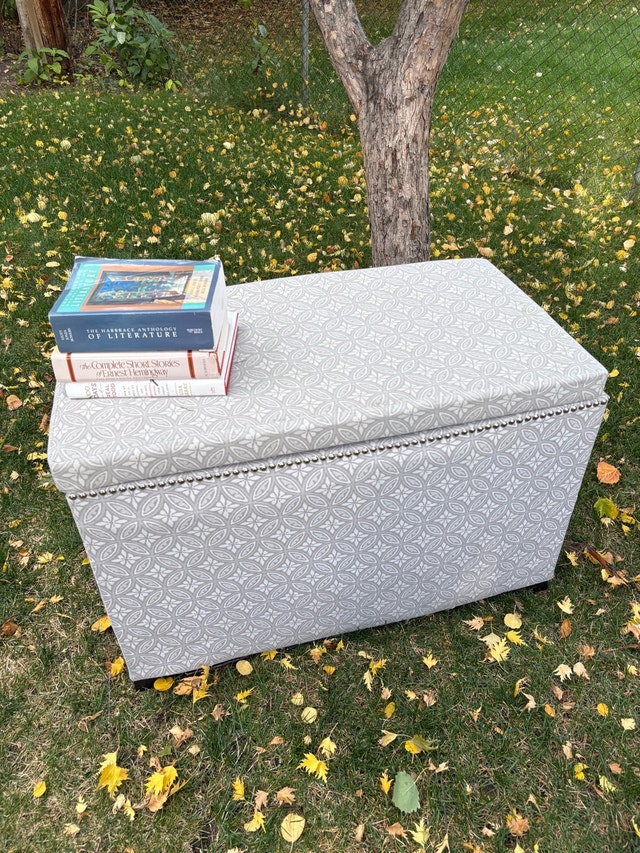 Storage Ottoman - photo 2