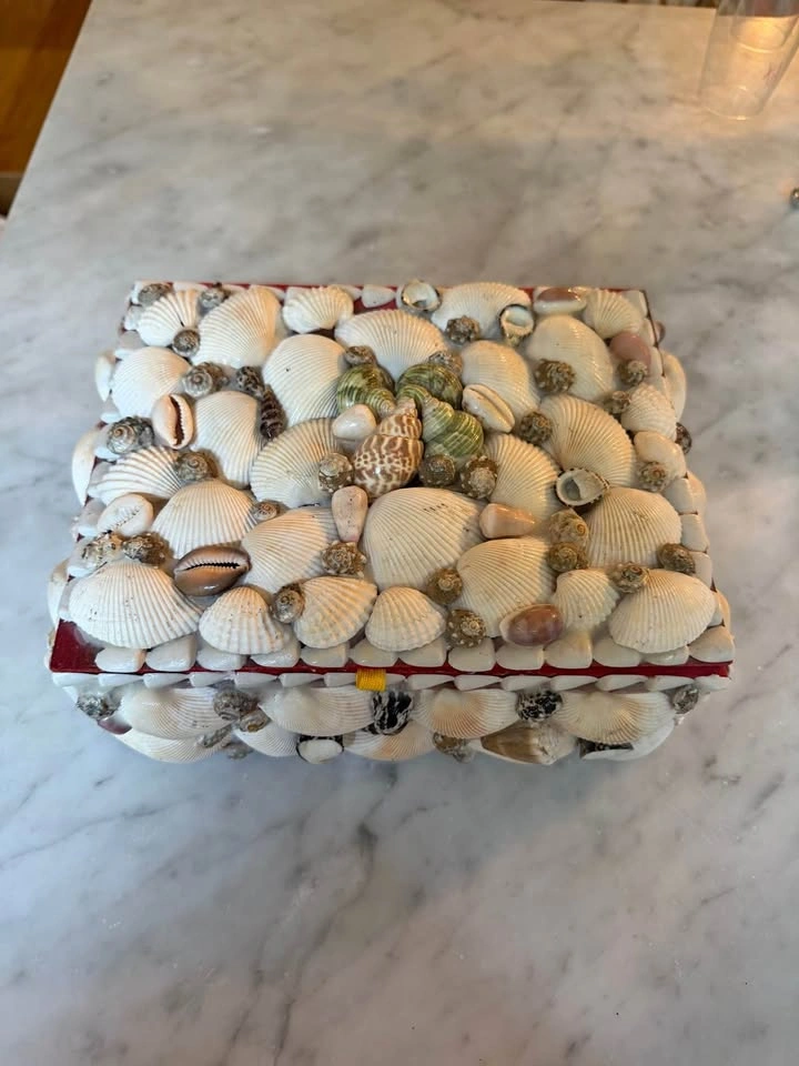 Seashell trinket box