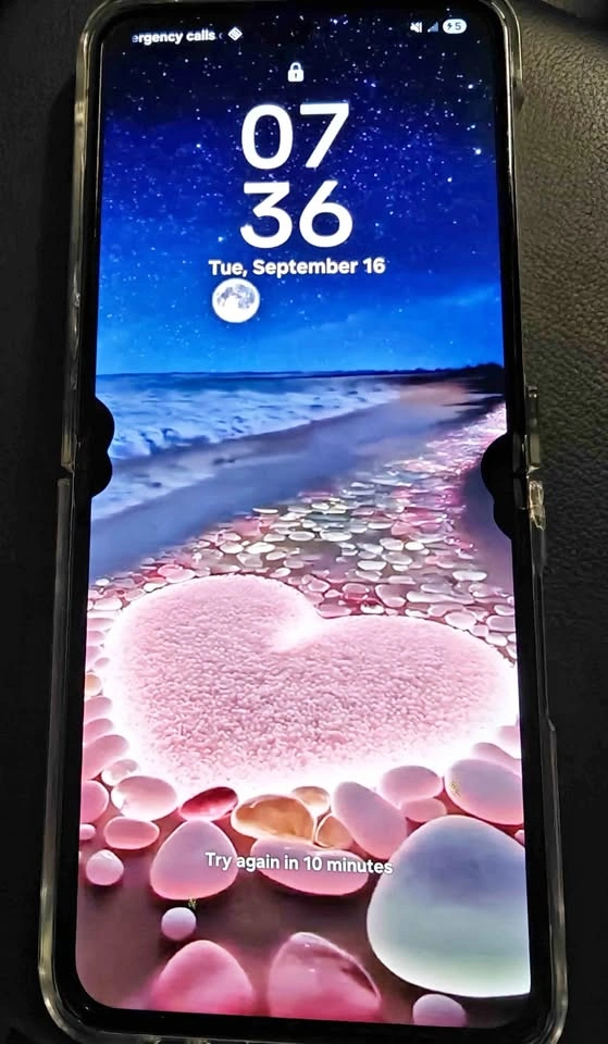 Samsung Flip 5