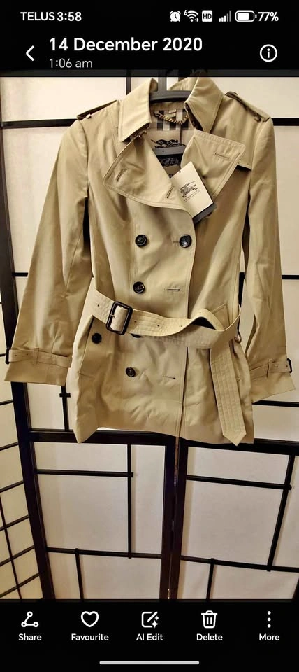 Trench coat