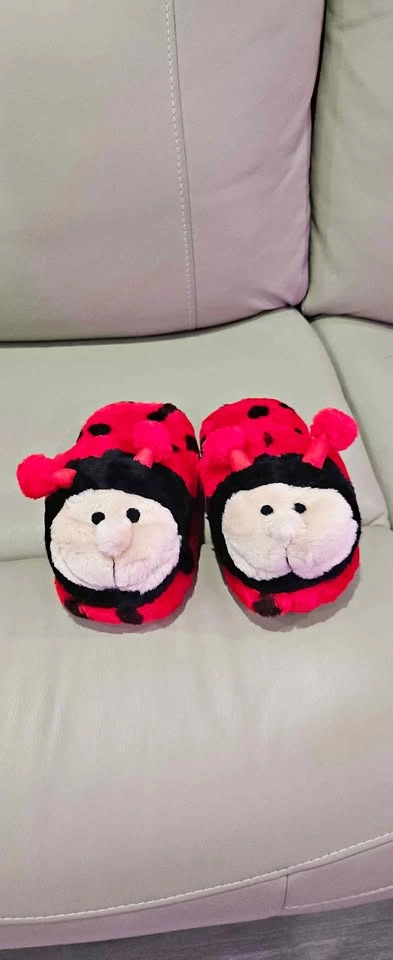 Lady Bug Slippers