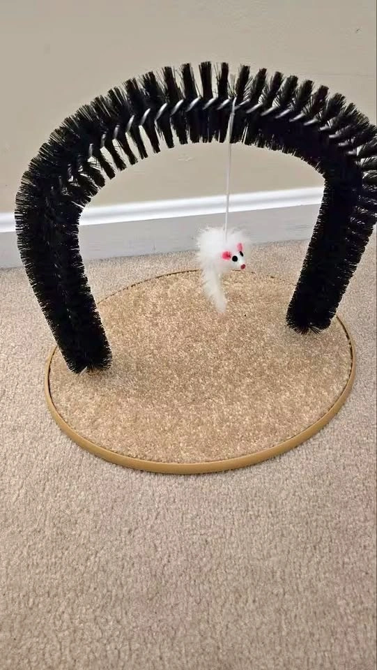 Cat Scratch Brush Toy (100% Brand New)