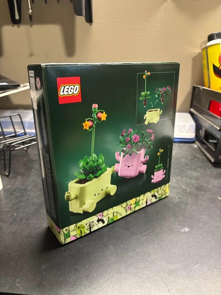LEGO Botanicals Rocking Plants Set 11506 - photo 2